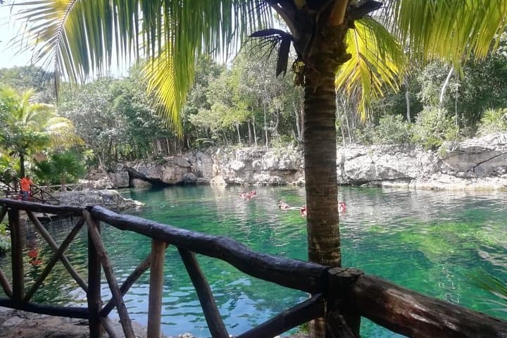 Private Cenotes Express: Snorkel Four Unique Cenotes Near Cancun photo 6