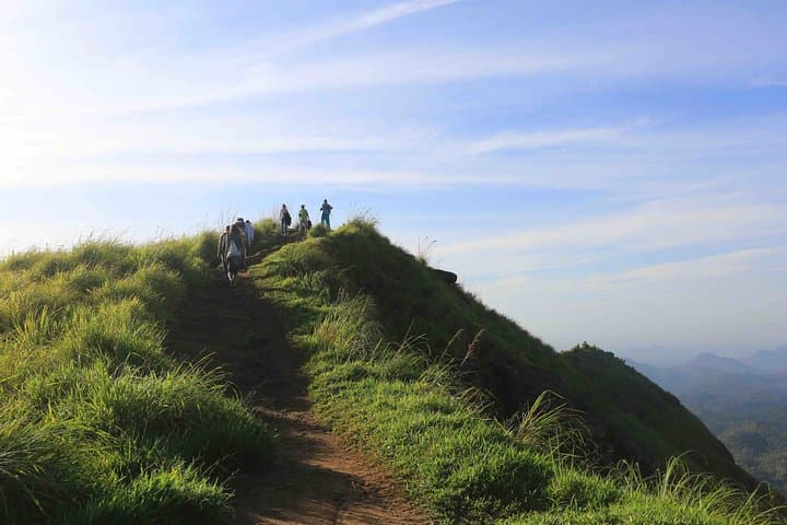 Hanthana One-Day Hike From Kandy — Tea Estates, Peaks & Birdwatching photo 6