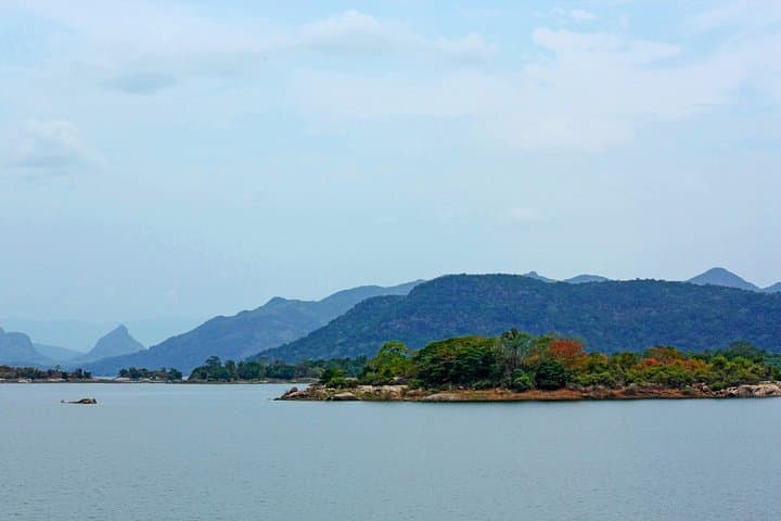 Gal Oya National Park Safari: Elephant Herds & Reservoir Wildlife at Senanayake Samudra photo 2
