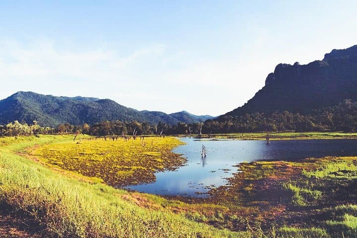 Gal Oya National Park Safari: Elephant Herds & Reservoir Wildlife at Senanayake Samudra photo 3