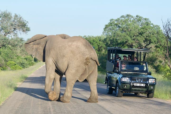5-Day Kruger Safari & Blyde River Canyon Panoramic Tour — Kruger Big 5 Experience photo 5
