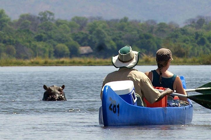 Paddling the Upper Zambezi: Half-Day Canoe Safari Above Victoria Falls photo 2