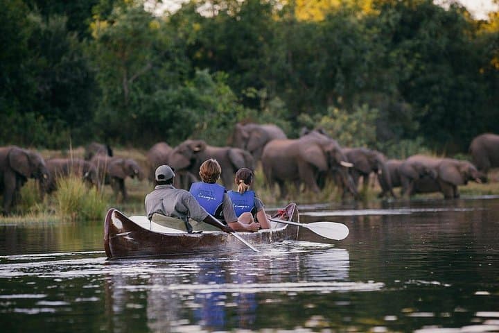 Paddling the Upper Zambezi: Half-Day Canoe Safari Above Victoria Falls photo 3