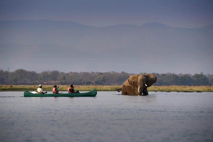 Paddling the Upper Zambezi: Half-Day Canoe Safari Above Victoria Falls photo 4