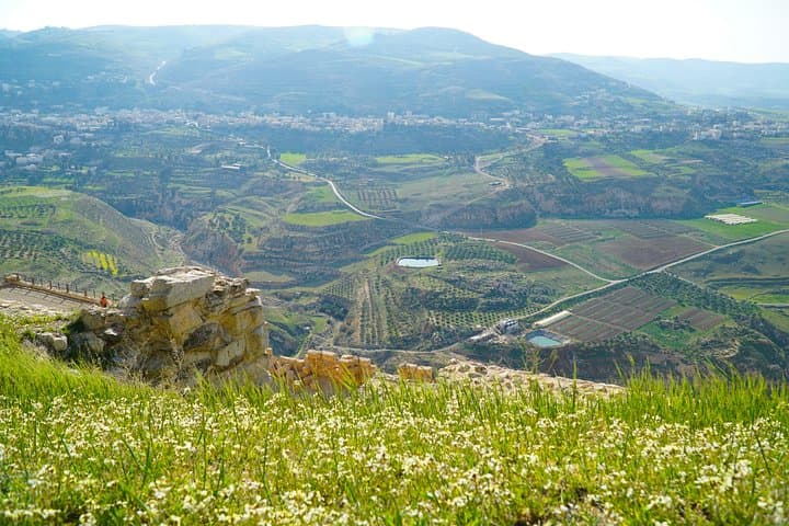 Magic Jordan: 5-Night Private Tour — Amman, Jerash, Petra, Wadi Rum & the Dead Sea photo 2