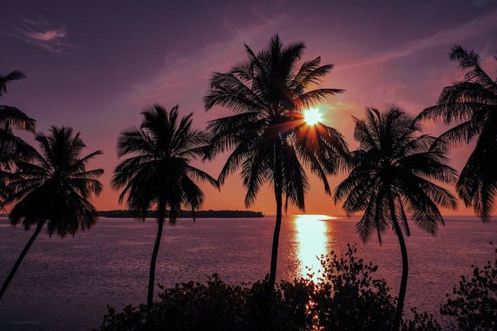 Sunset Dhoani Cruise and Night Fishing off Dhiffushi