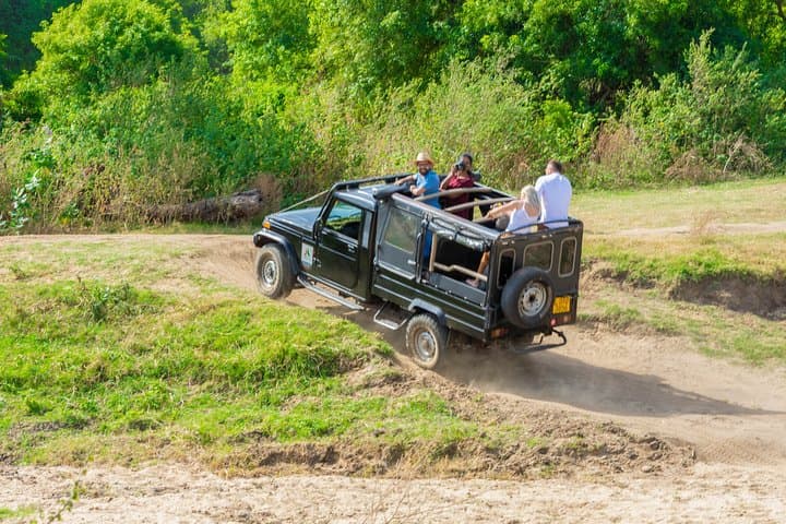 Converging Giants: 3-Hour Wild Elephant Safari at Minneriya National Park photo 6