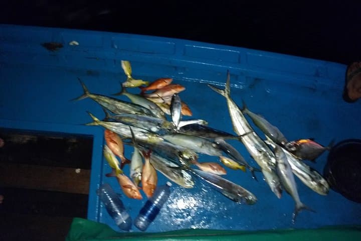 Sunset Dhoani Cruise and Night Fishing off Dhiffushi photo 3