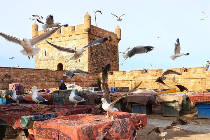 Day Trip from Marrakech to Essaouira: Atlantic Coast, Argan Forests & Medina Strolls photo 2