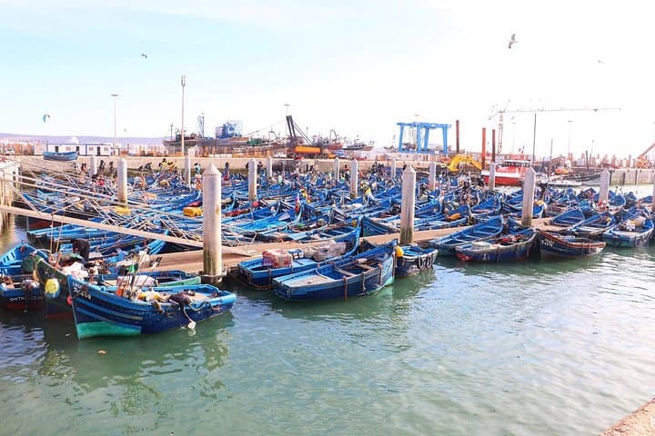 Day Trip from Marrakech to Essaouira: Atlantic Coast, Argan Forests & Medina Strolls photo 4