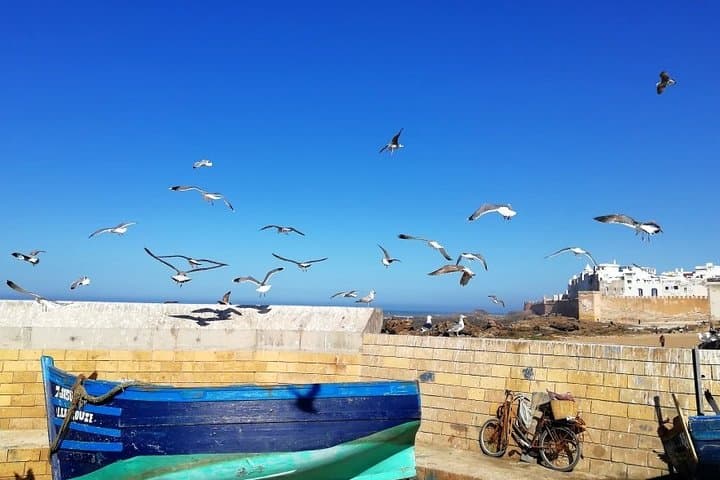 Essaouira & Atlantic Coast Day Trip from Marrakech — Skala, Medina and Fresh Seafood photo 4