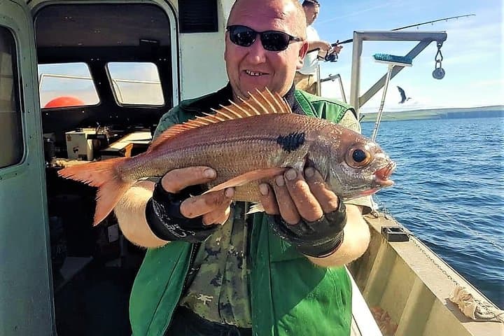 Deep-Sea Fishing Off Inisheer: 5-Hour Private Trip from Galway photo 5