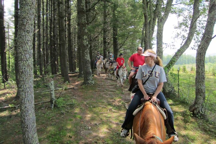 Horseback Ride Through Flame Azalea & Fern Forest — Cullowhee's Flame-Fern Trail