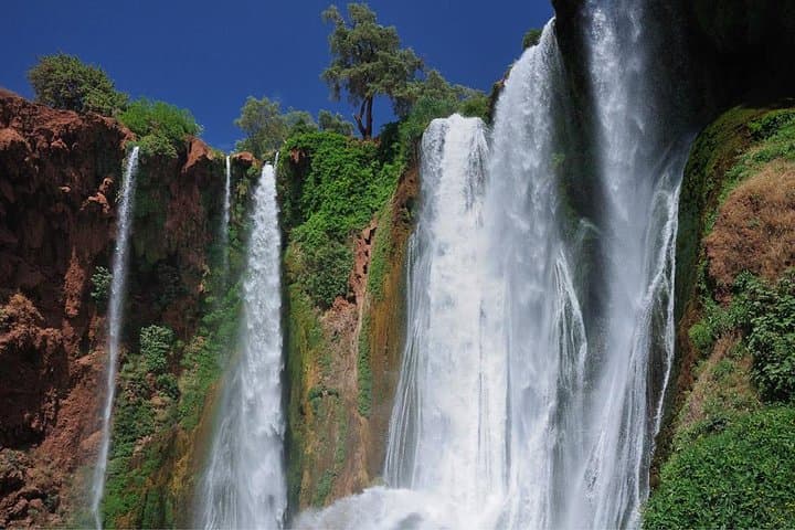 Ouzoud Waterfalls Day Trip from Marrakech: Cascades, Monkeys & Tagine