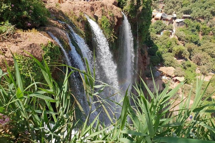 Ouzoud Waterfalls Day Trip from Marrakech: Cascades, Monkeys & Tagine photo 5