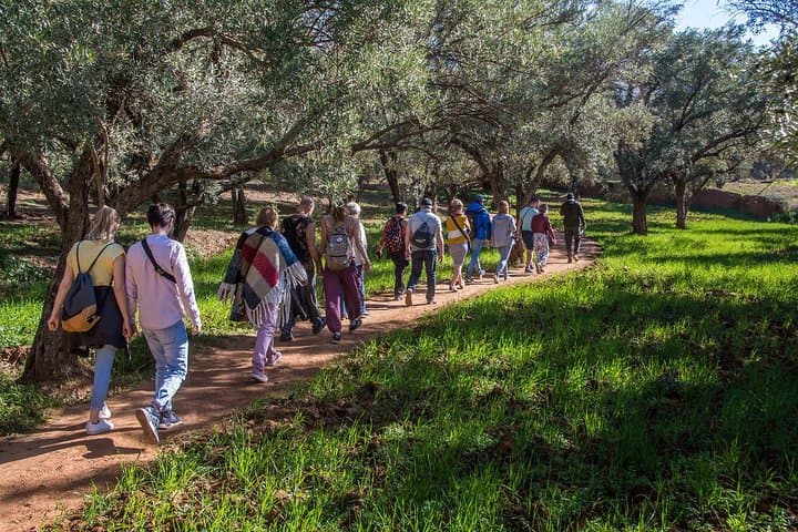 Ouzoud Waterfalls Day Trip from Marrakech: Cascades, Monkeys & Tagine photo 3