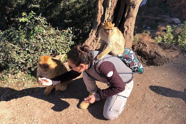 Ouzoud Waterfalls Day Trip from Marrakech: Cascades, Monkeys & Tagine photo 6