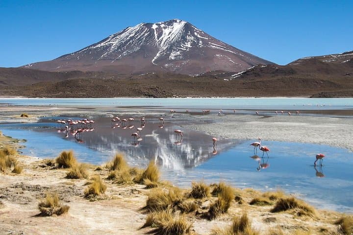 4-Day Uyuni Salt Flat Adventure from San Pedro de Atacama photo 5