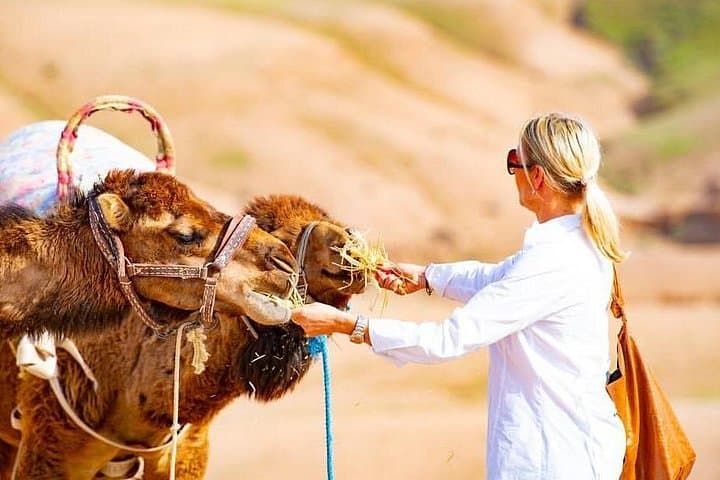 Agafay Desert Day Trip from Marrakech: Camel Rides, Berber Villages & Atlas Views photo 4