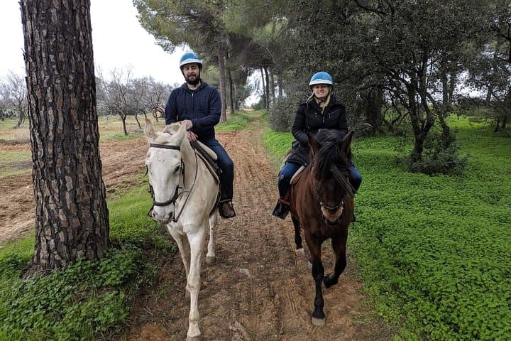 Horseback Riding in Doñana: Forest Trails & The El Rocío Pilgrimage photo 3