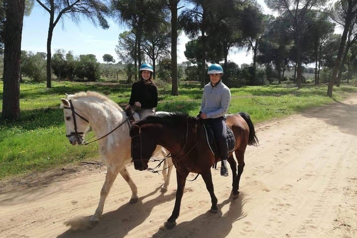 Horseback Riding in Doñana: Forest Trails & The El Rocío Pilgrimage