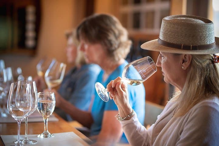 7-Day Chile–Argentina Wine Valleys Expedition: Santiago to Mendoza photo 4