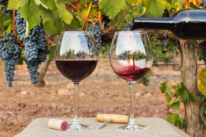 7-Day Chile–Argentina Wine Valleys Expedition: Santiago to Mendoza photo 1
