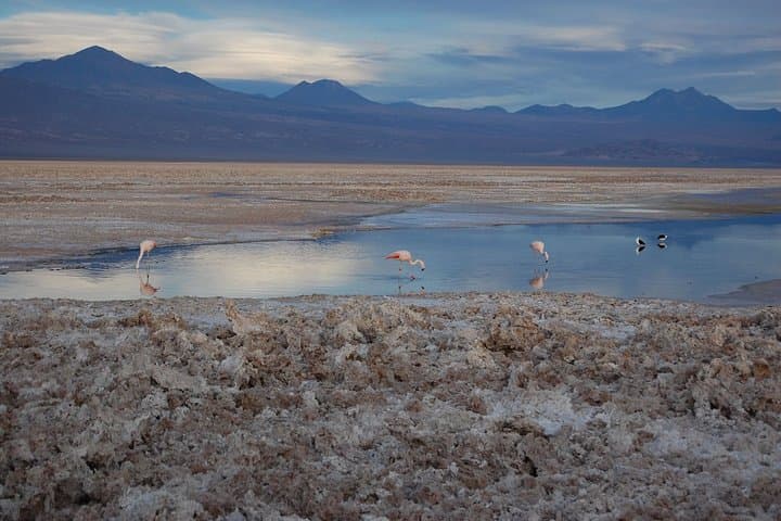 4 Days Discovery San Pedro de Atacama: Altiplano Lagoons, Geysers & Moon Valley photo 4