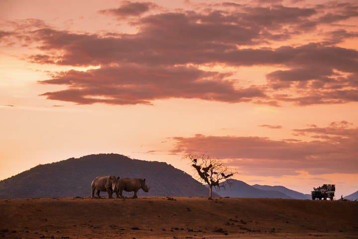 4-Day Kruger National Park Safari: Big Five Game Drives & Mpumalanga Highlights
