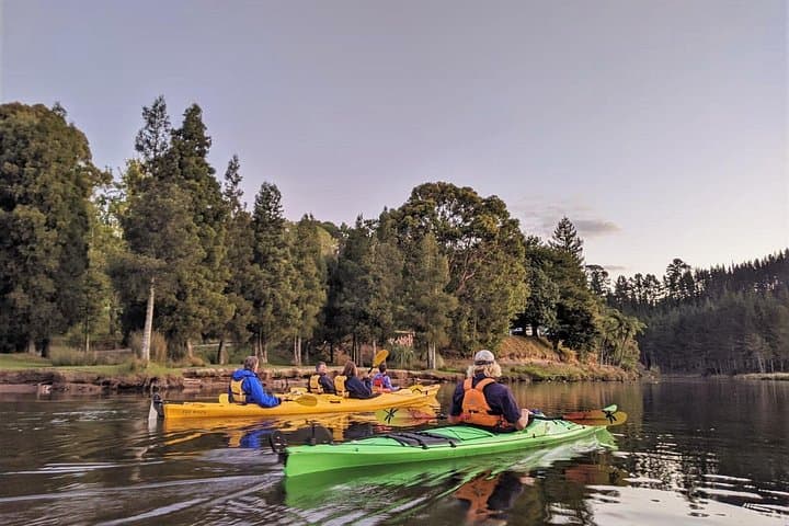 Tauranga Evening Glowworm Kayak Tour on Lake McLaren photo 4