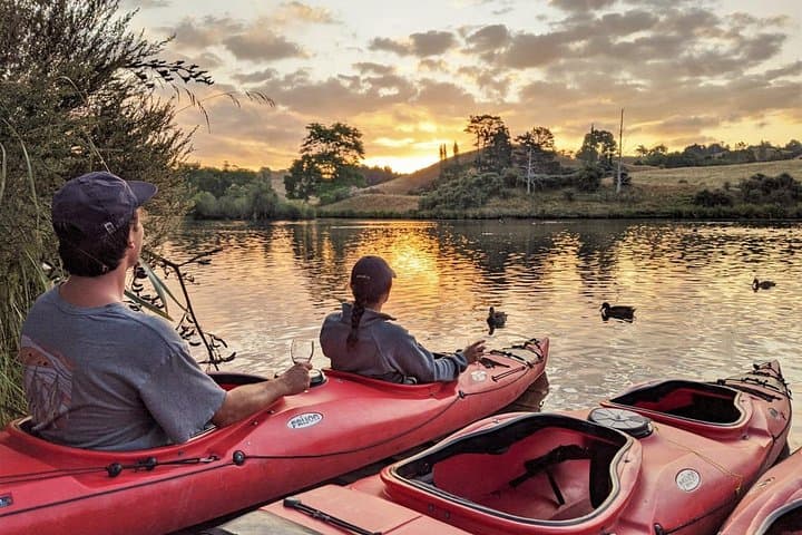 Tauranga Evening Glowworm Kayak Tour on Lake McLaren photo 6