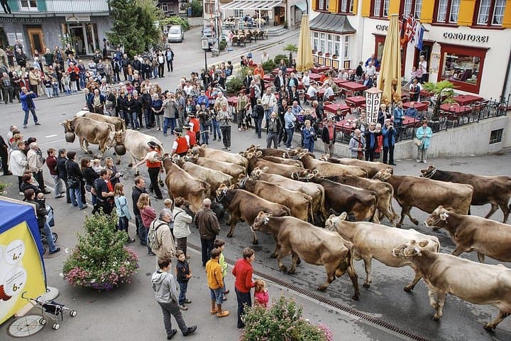Day Trip to Appenzell & Liechtenstein from Zurich — Säntis, Hoher Kasten & Chocolate photo 2