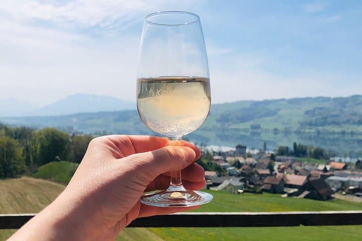 Zurich Region Cheese, Chocolate & Wine Day Trip — Factories, Vineyards & Tastings photo 6