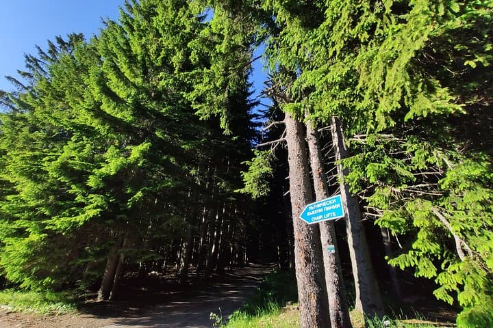 Private Mountain Biking on Vitosha: Guided Rides from Sofia photo 2