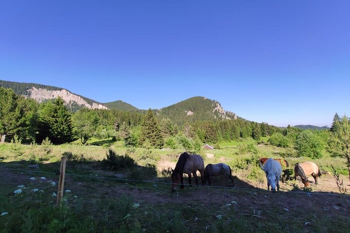 Horseback Riding in the Rhodope Mountains: Private Day Trip from Plovdiv photo 3