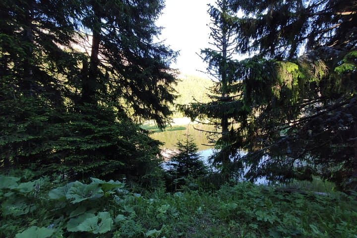 Horseback Riding in the Rhodope Mountains: Private Day Trip from Plovdiv photo 4