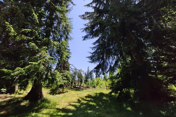 2-Day Private Horseback Riding in the Rhodope Mountains from Plovdiv photo 5