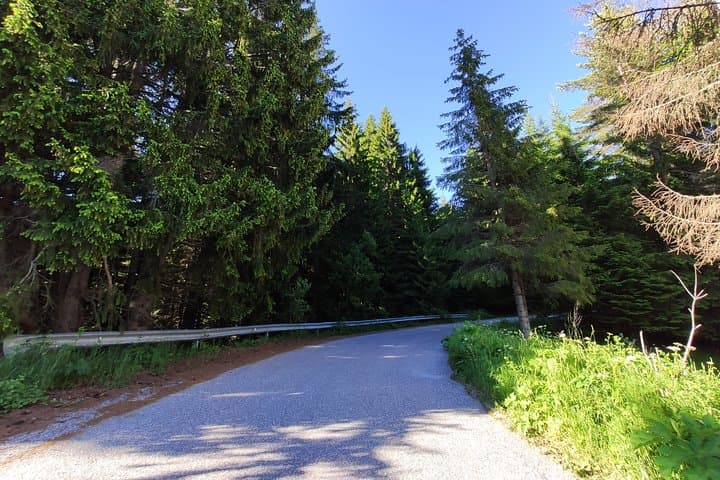 Full-Day Road Cycling in the Rhodope Mountains from Plovdiv photo 6