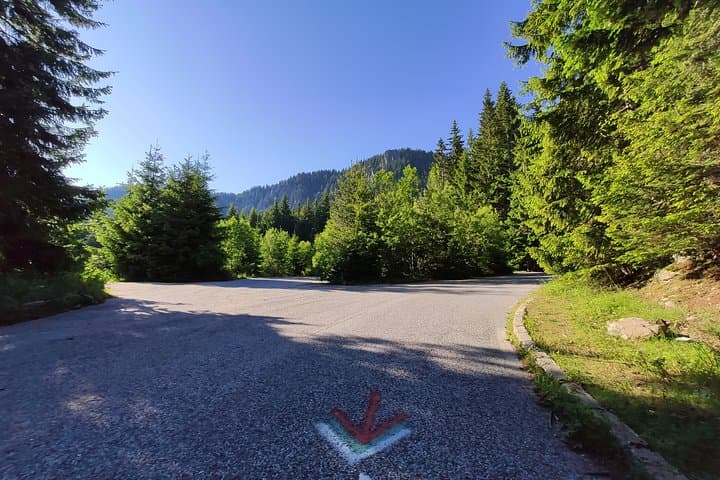 Full-Day Road Cycling in the Rhodope Mountains from Plovdiv photo 4