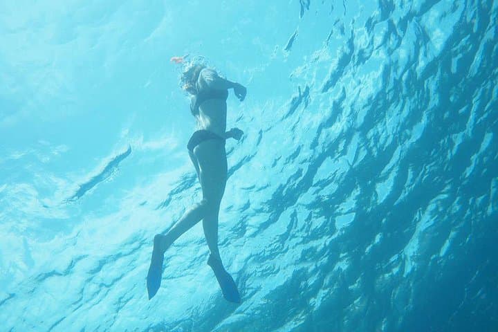 Snorkeling the Cyclops: Lava Reefs & Marine Life from Catania photo 5