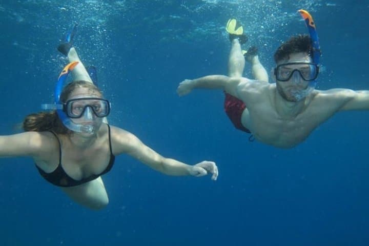 Snorkeling the Cyclops: Lava Reefs & Marine Life from Catania photo 6