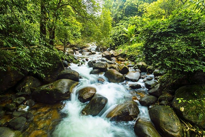 Walk Chanthaburi: A Two‑Hour Private Tour of Cathedrals, Temples & Riverside Heritage photo 3
