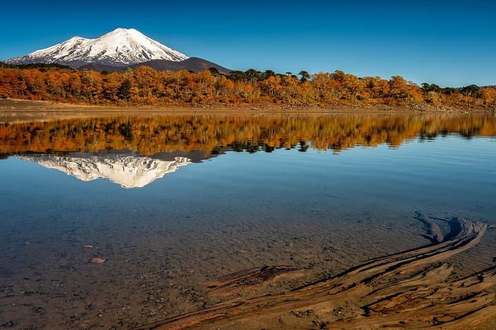 Full-Day Tour to Conguillío National Park from Pucón — Araucanía's Ancient Araucarias