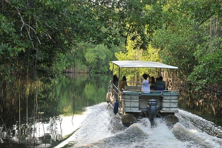 Black River Safari and YS Falls Private Tour — Montego Bay Day Trip to Jamaica’s Longest Navigable River and Seven-Tier Falls photo 2