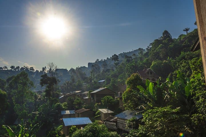 Romantic Lakeside Walk: Guided Lake Kivu Tour in Goma photo 3