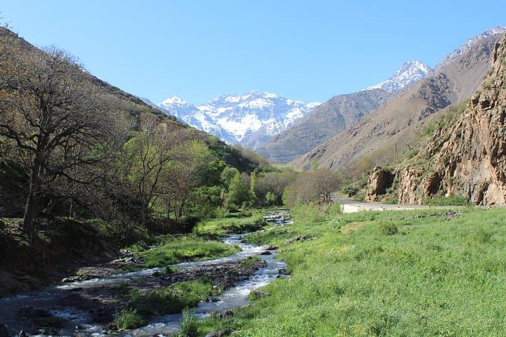 Atlas Mountains Day Trip from Marrakech: Berber Valley Walk & Cultural Lunch photo 4