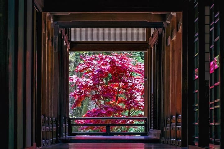 Kamakura for First-Timers: A One-Day Tour of Temples, Bamboo, and the Daibutsu photo 3