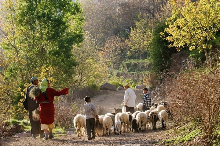 High Atlas Day Trip: Imlil, 4 Valleys & Berber Lunch from Marrakech photo 3