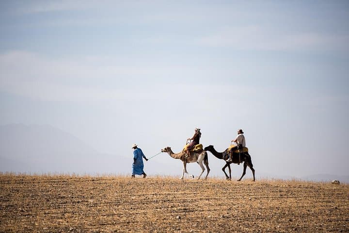 Atlas Mountains Berber Life Day Tour from Marrakech — Imlil Valley Trek & Camel Ride photo 2