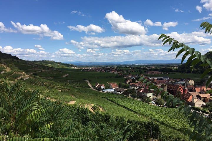 Half-Day Alsace Private Tour: Castles, Medieval Villages & Wine Tasting from Strasbourg photo 3